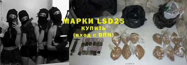 трава Белокуриха