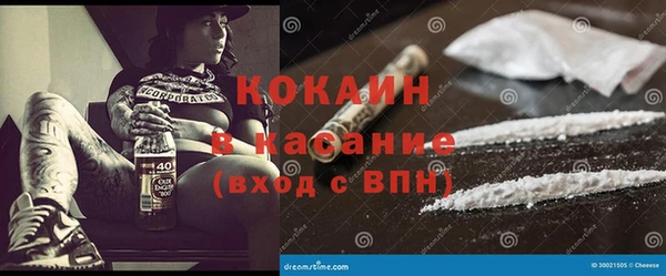 трава Белокуриха