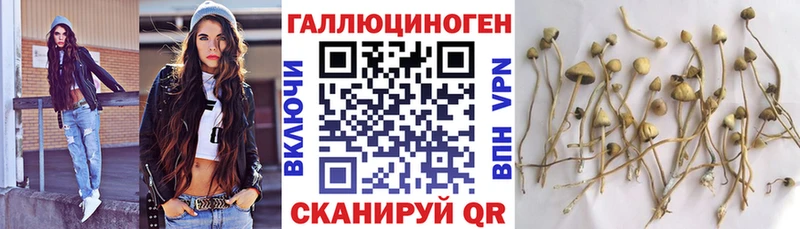 цены наркотик  Усть-Катав  Галлюциногенные грибы GOLDEN TEACHER 